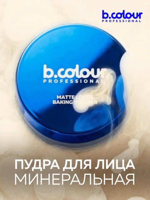 Пудра для лица матирующая рассыпчатая бежевая 02